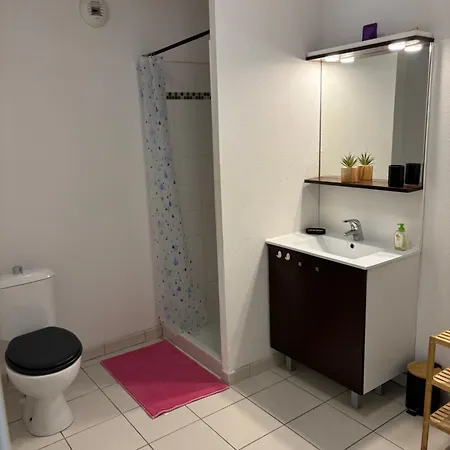 Cosy T2 Cap Ferret Apartamento *